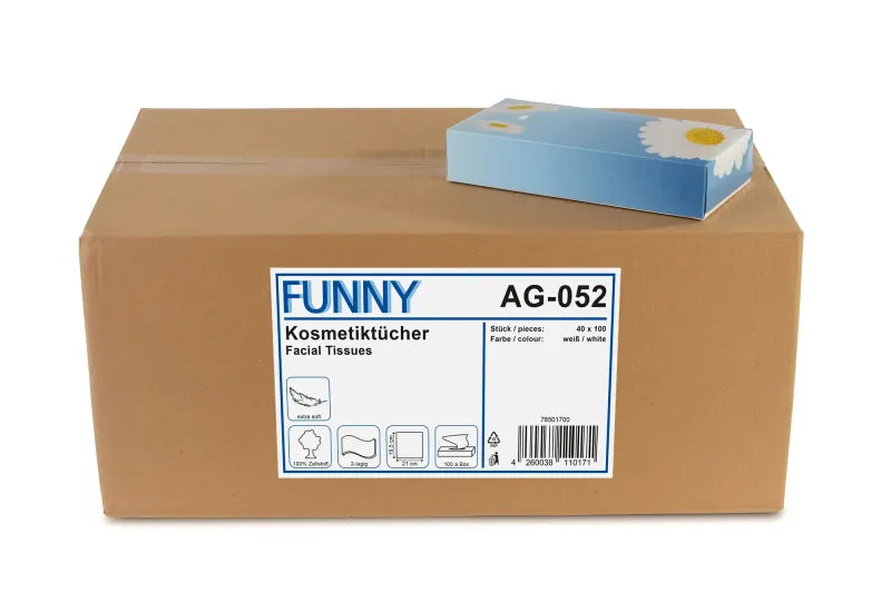 Funny Kosmetikboxen 2-lagig, Zellstoff, 40 Boxen, 100 Tücher / Box