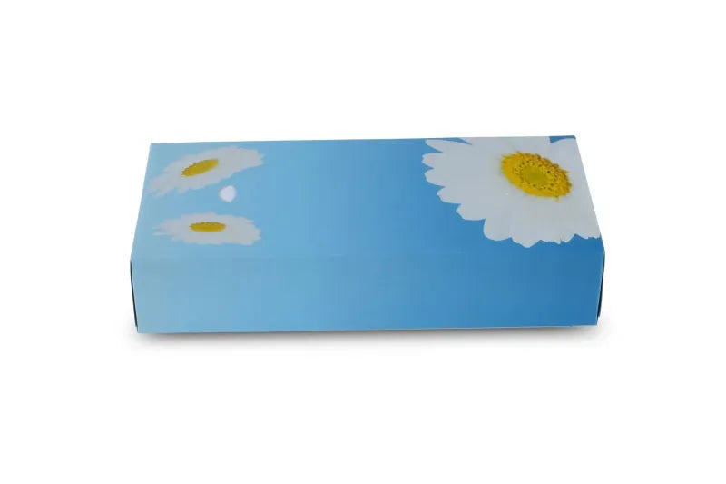 Funny Kosmetikboxen 2-lagig, Zellstoff, 40 Boxen, 100 Tücher / Box