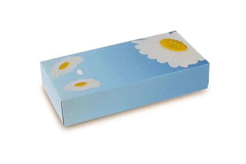 Funny Kosmetikboxen 2-lagig, Zellstoff, 40 Boxen, 100 Tücher / Box